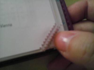 IMAG0394.jpg